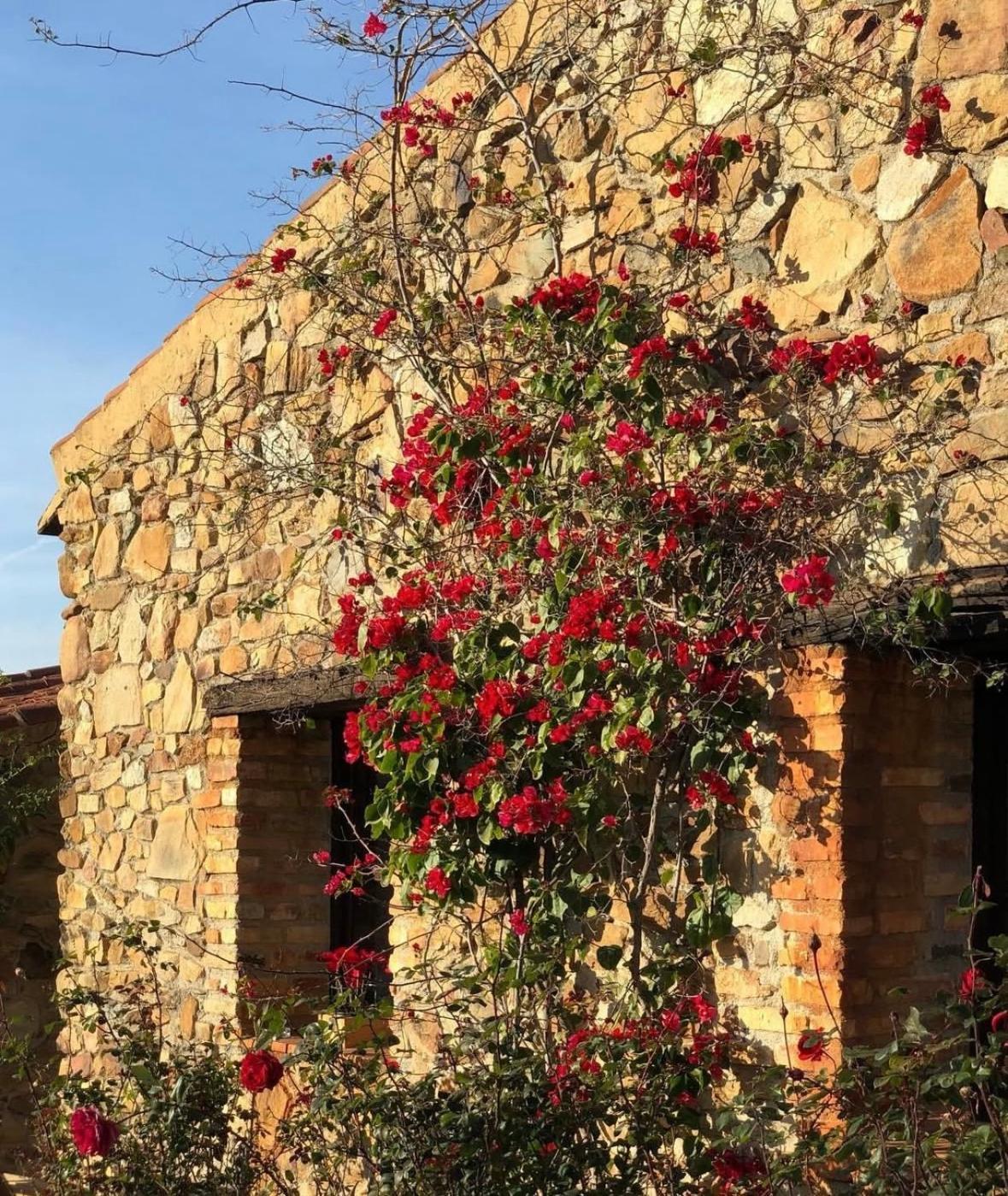 Finca Los Caleros Juan Gallegos Dış mekan fotoğraf
