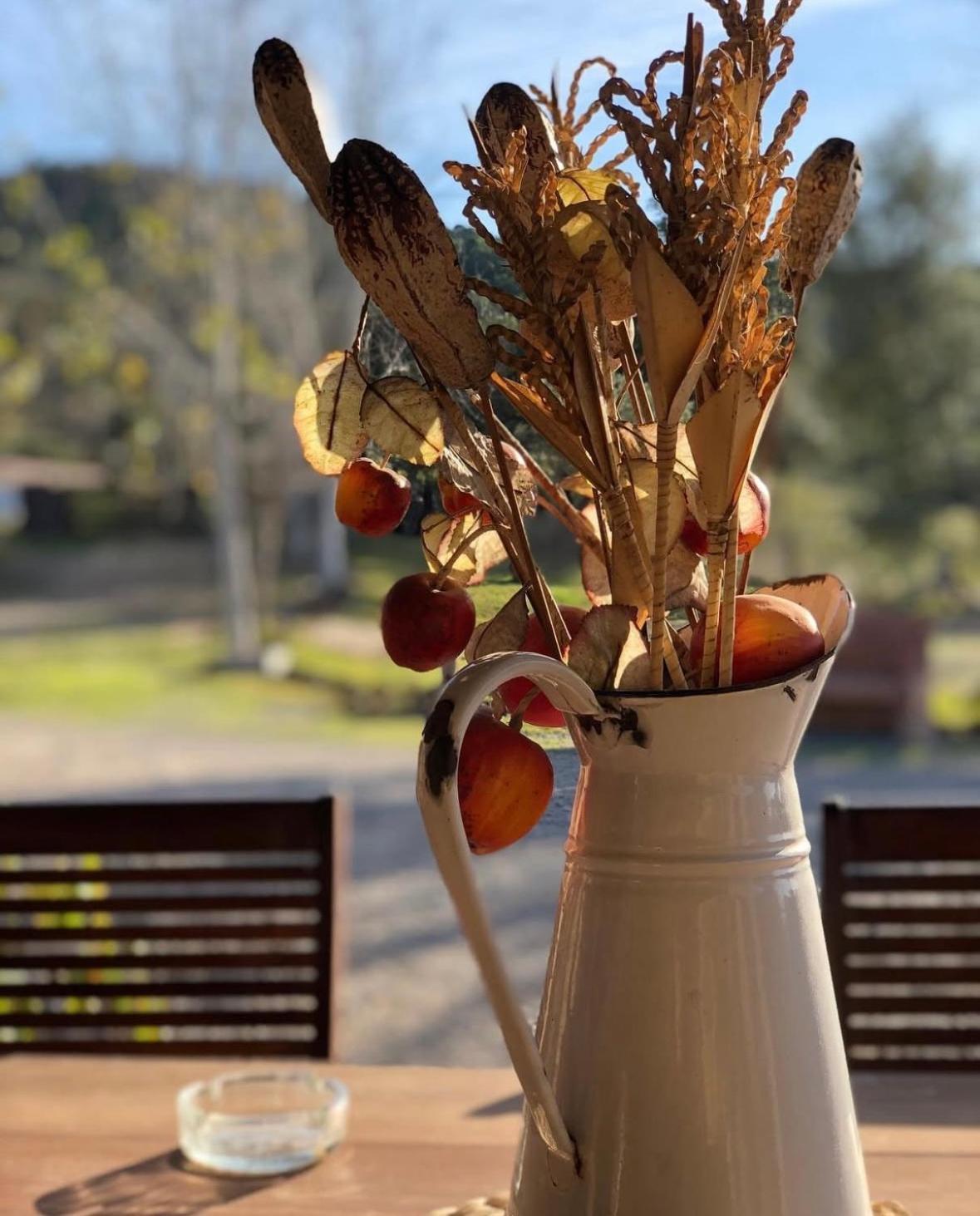 Finca Los Caleros Juan Gallegos Dış mekan fotoğraf