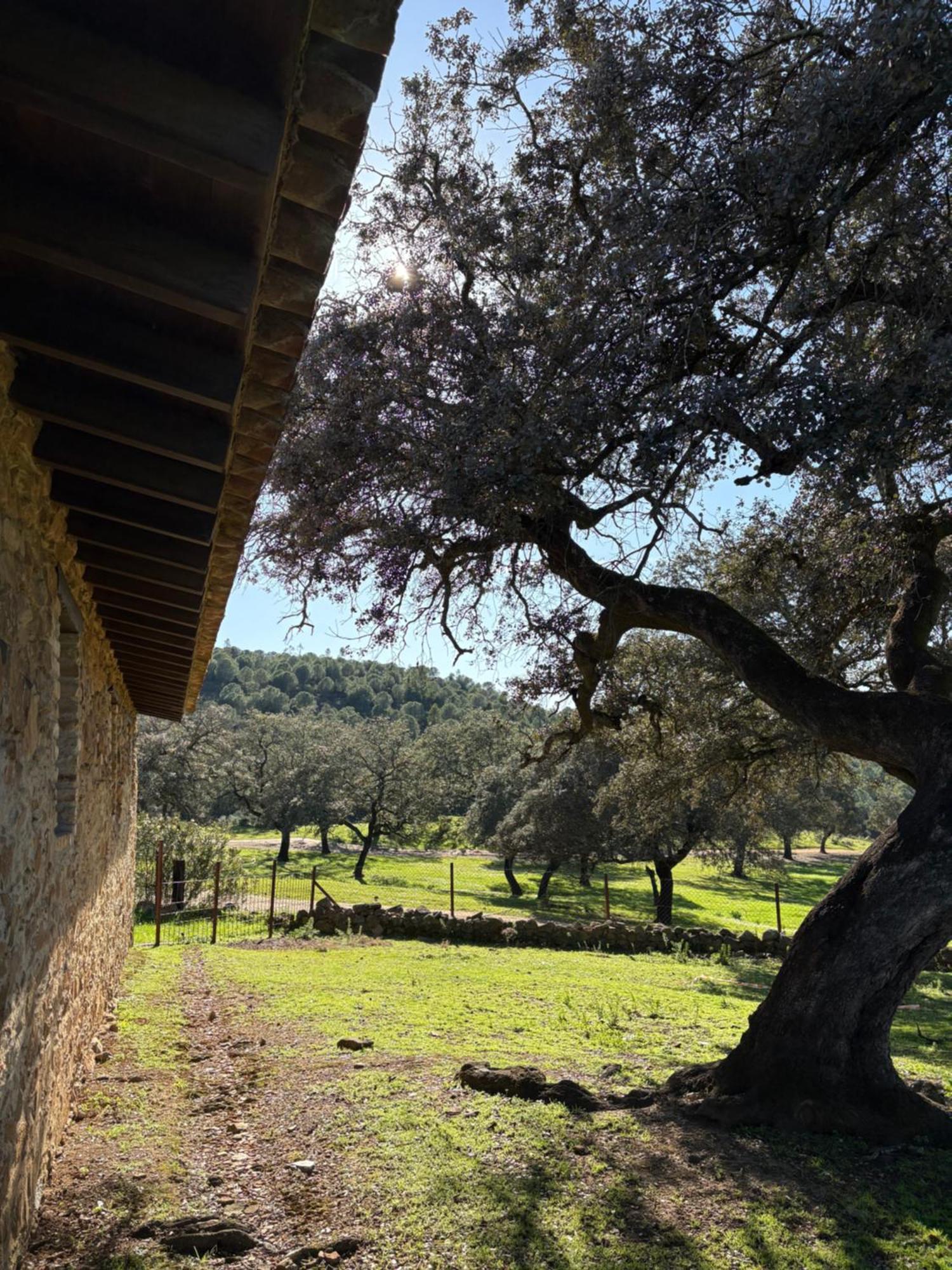 Finca Los Caleros Juan Gallegos Dış mekan fotoğraf