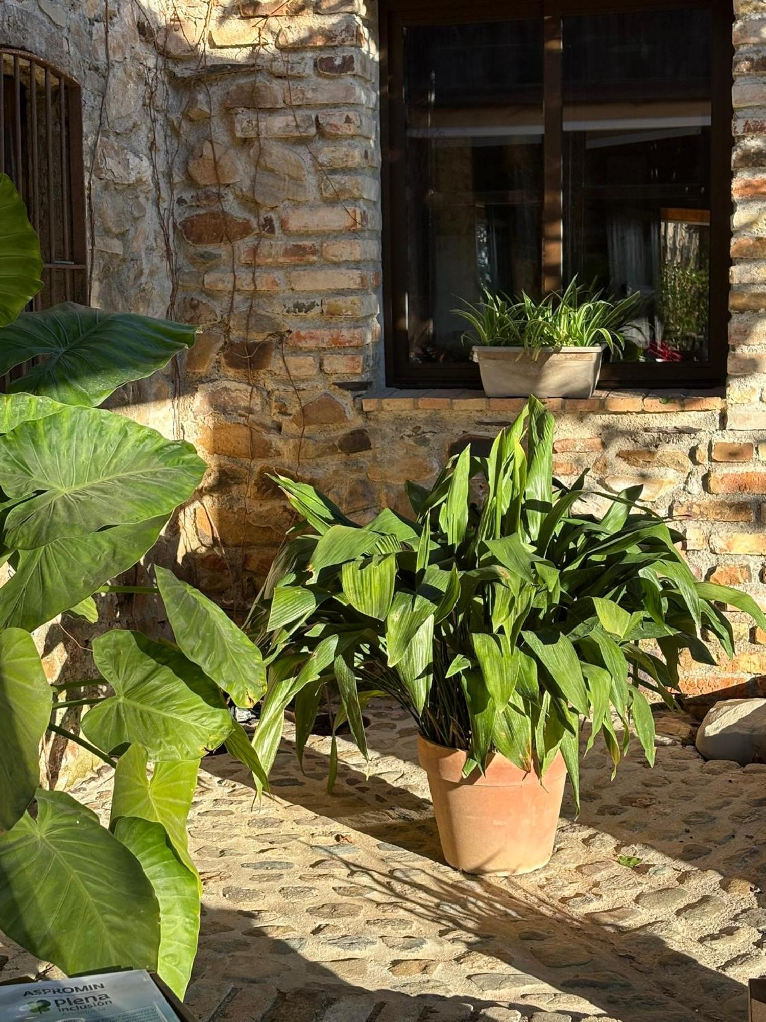 Finca Los Caleros Juan Gallegos Dış mekan fotoğraf